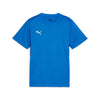 Teamgoal T-shirt fra Puma