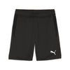 Teamgoal Shorts fra Puma
