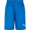 Velize Shorts fra Puma