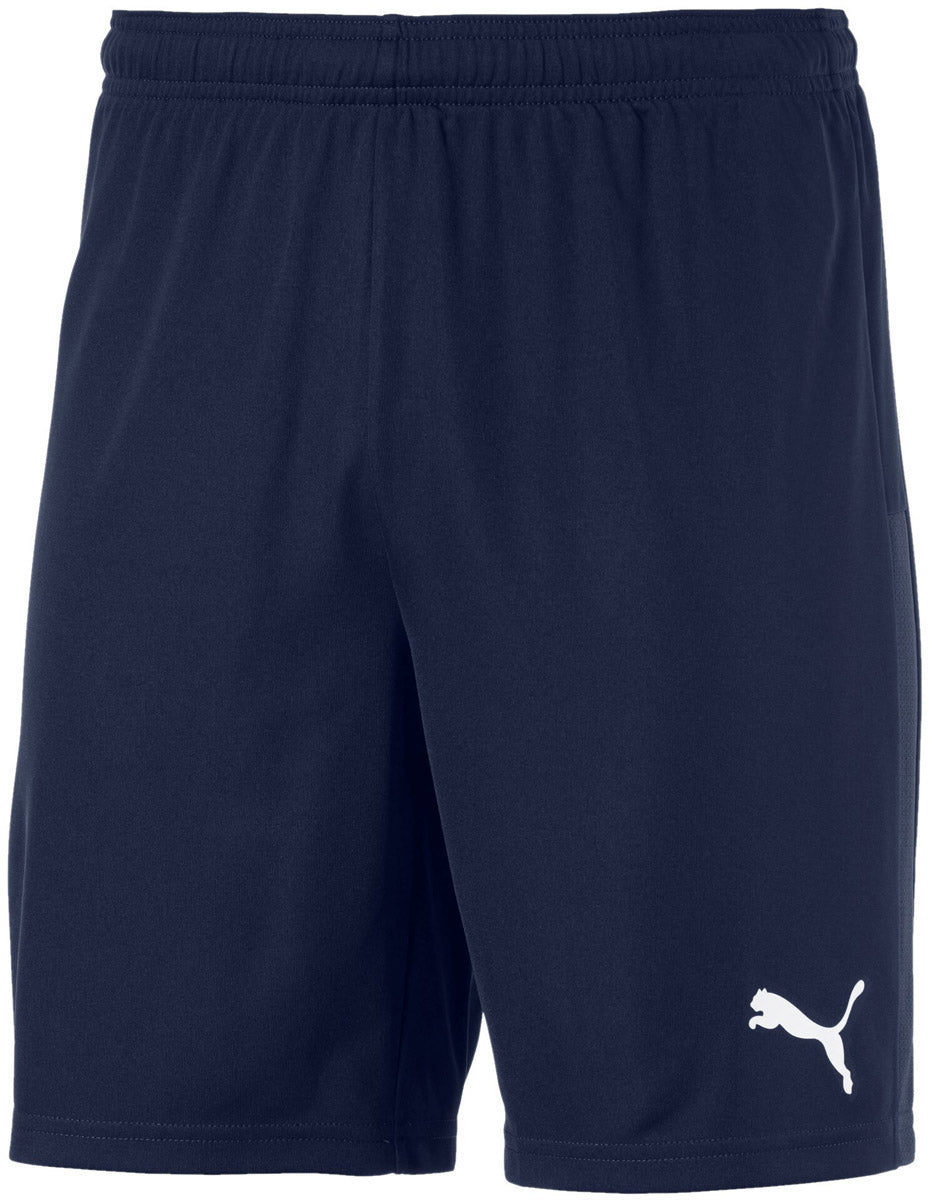 Teamgoal 23 Knit shorts