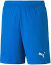Teamgoal 23 Knit shorts fra Puma