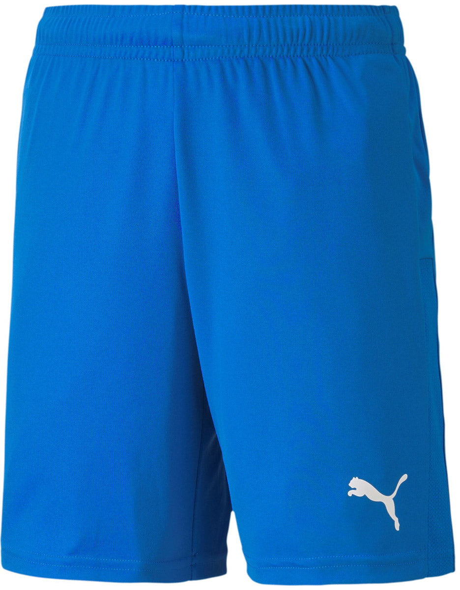 Teamgoal 23 Knit shorts