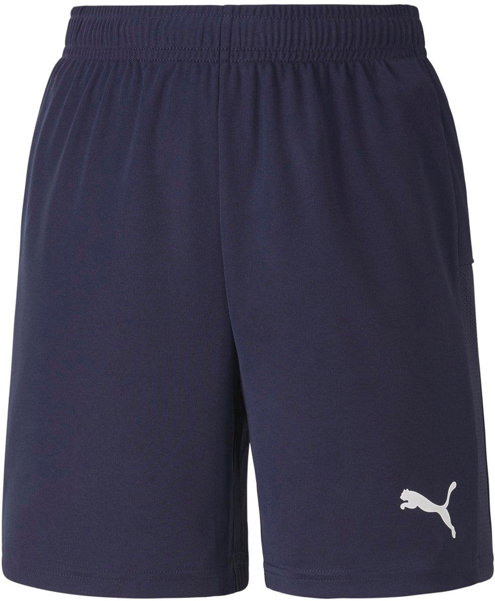 Teamgoal 23 Knit shorts