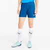 Teamgoal 23 Knit shorts fra Puma
