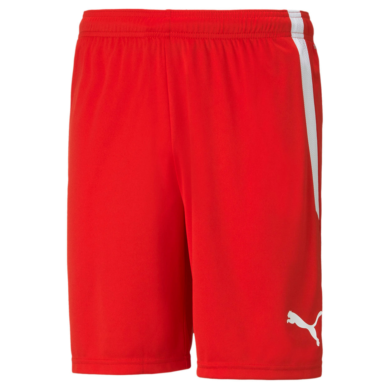 Teamliga shorts