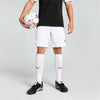 Teamliga shorts fra Puma