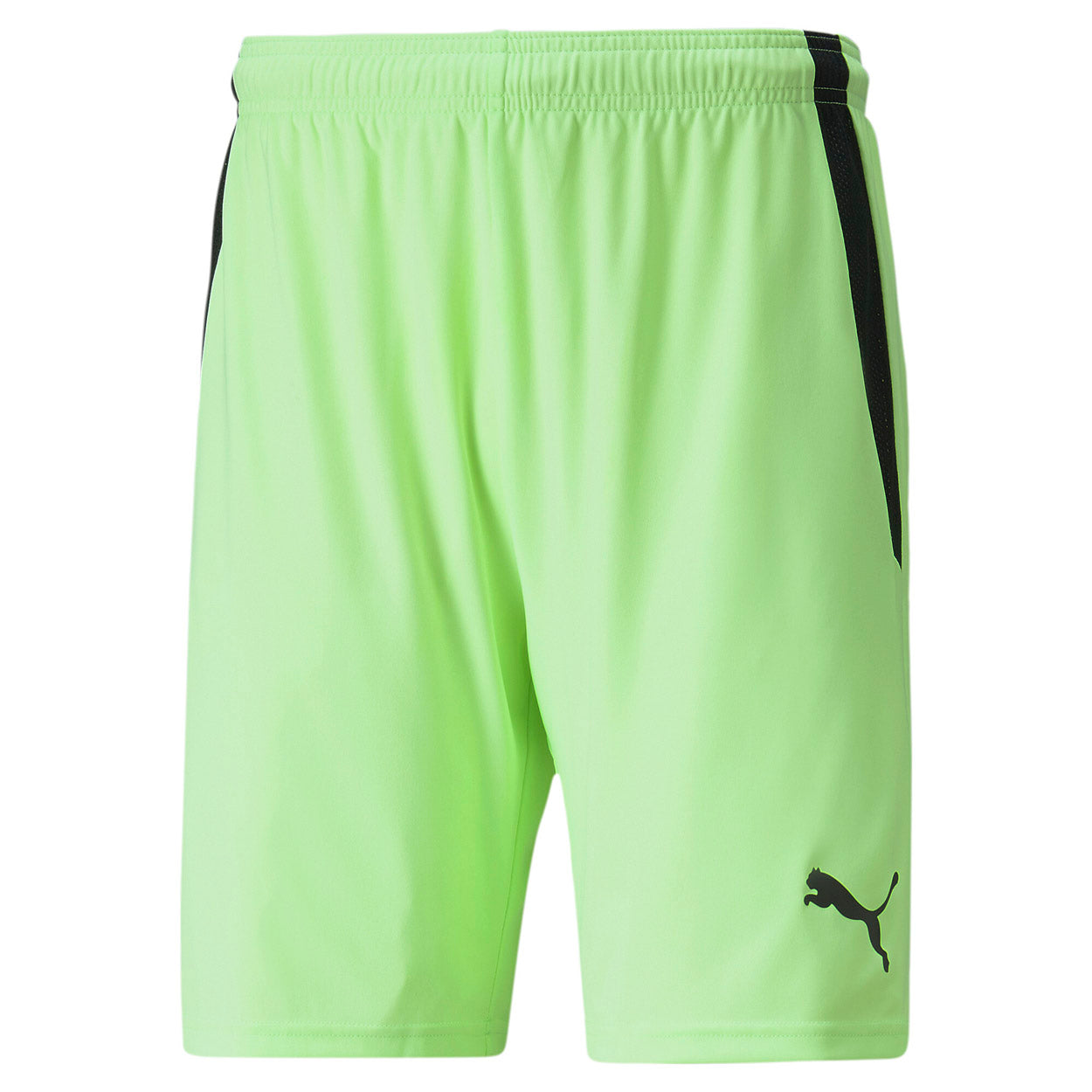 Teamliga shorts