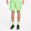 Teamliga shorts fra Puma