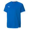 Teamliga T-shirt fra Puma