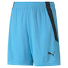 Teamliga shorts fra Puma