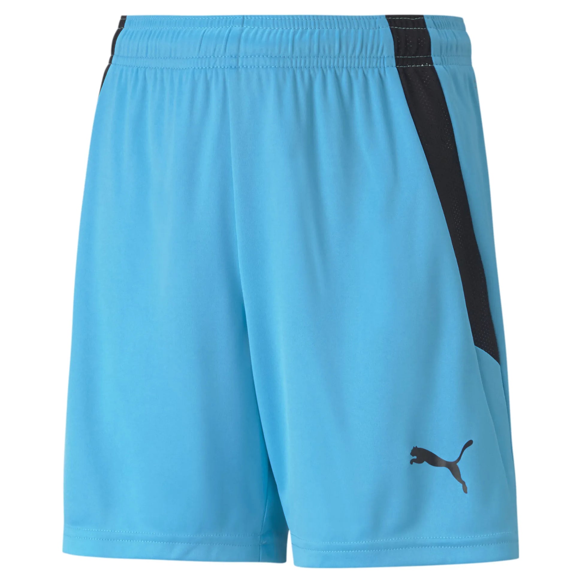 Teamliga shorts