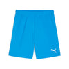 Teamgoalshorts fra Puma