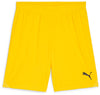 Teamgoalshorts fra Puma