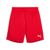 Teamgoal Shorts fra Puma