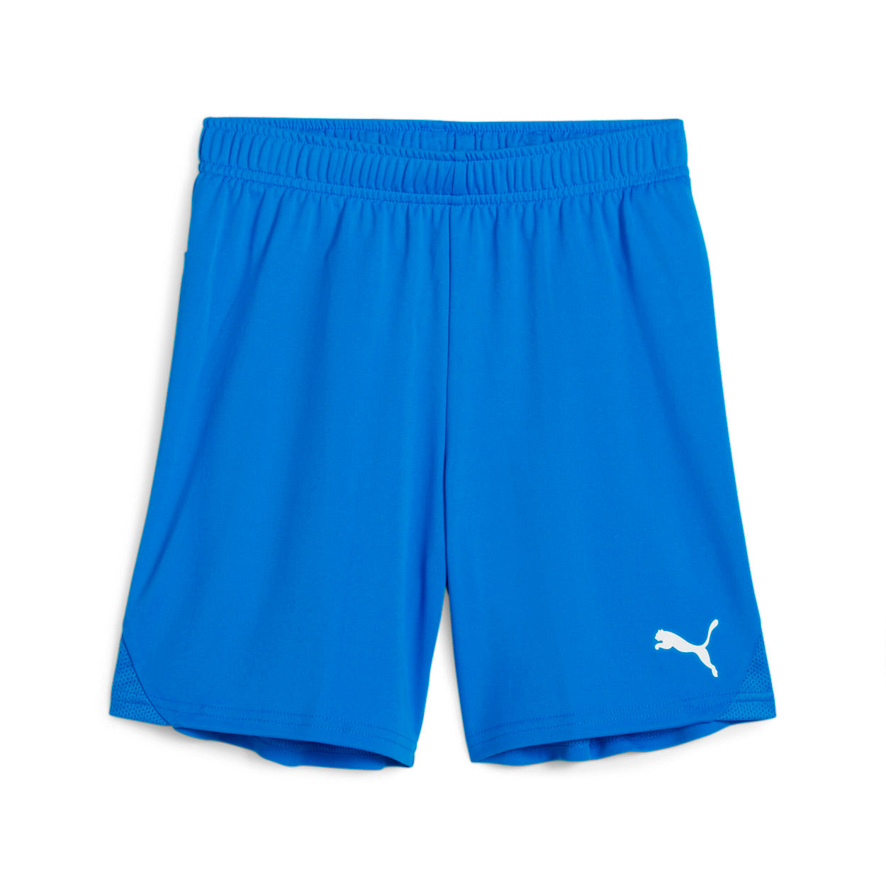 Teamgoal Shorts