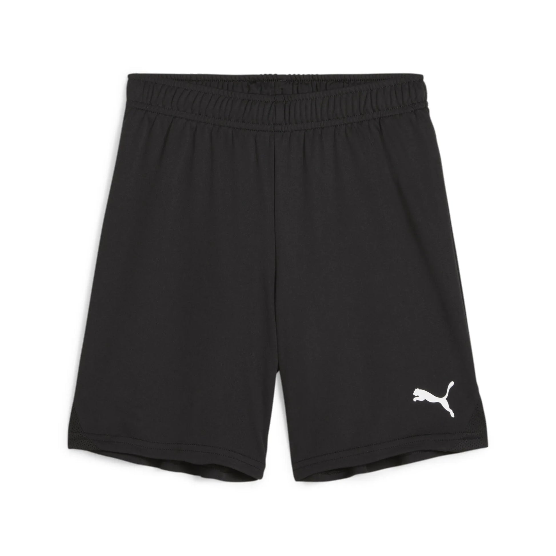 Teamgoal Shorts