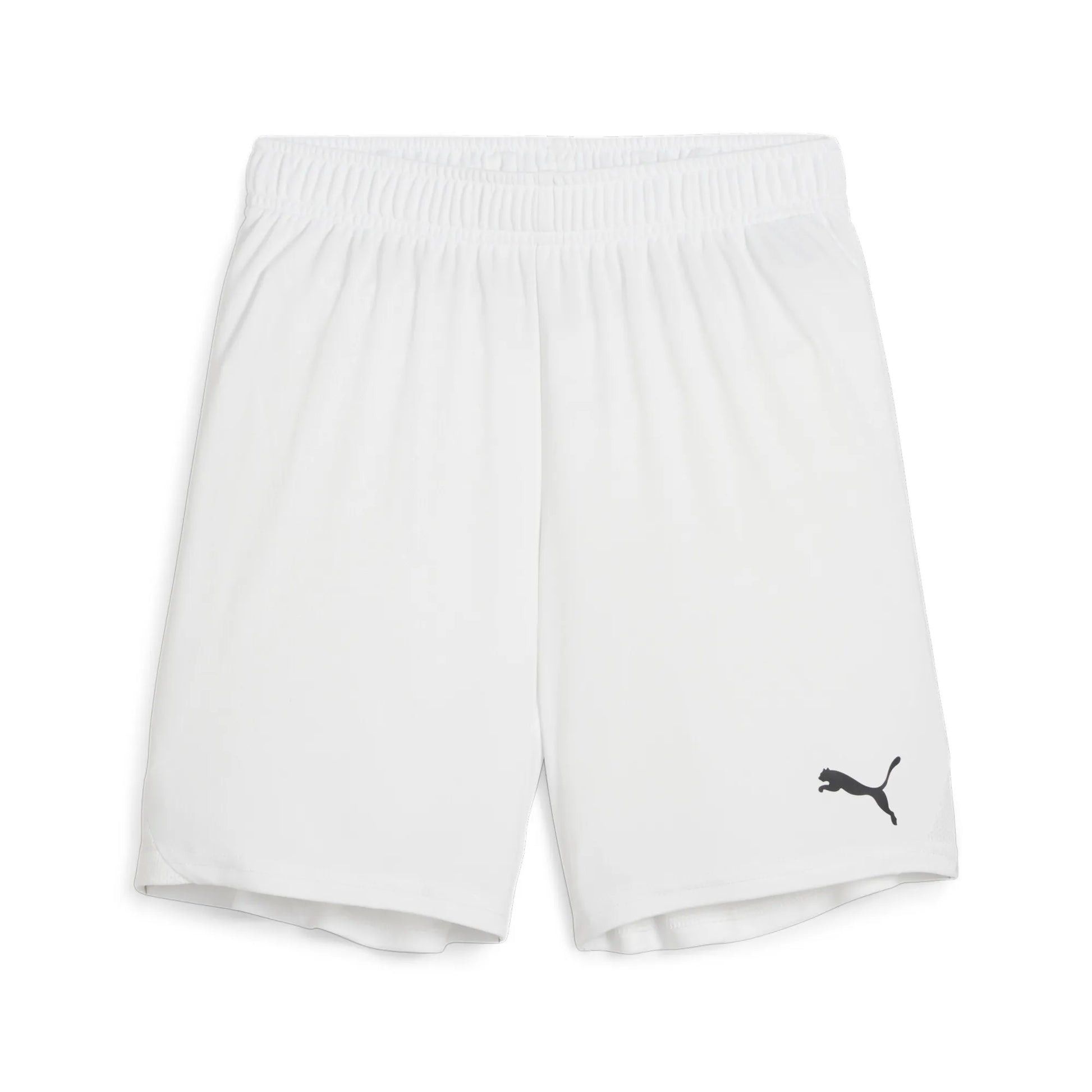 Teamgoal Shorts