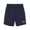 Teamgoal Shorts fra Puma