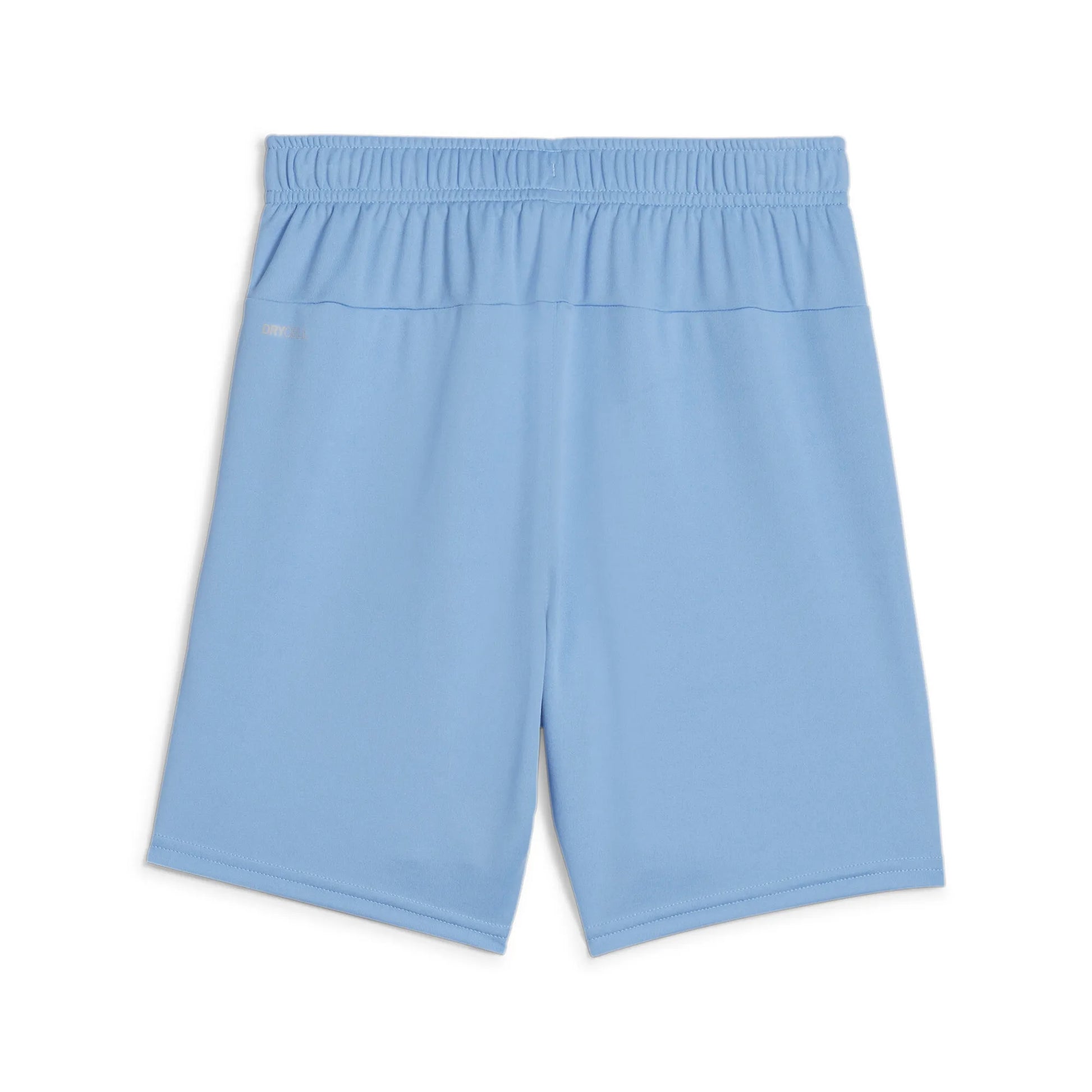 Teamgoal Shorts
