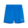 Teamgoal Dame Shorts fra Puma