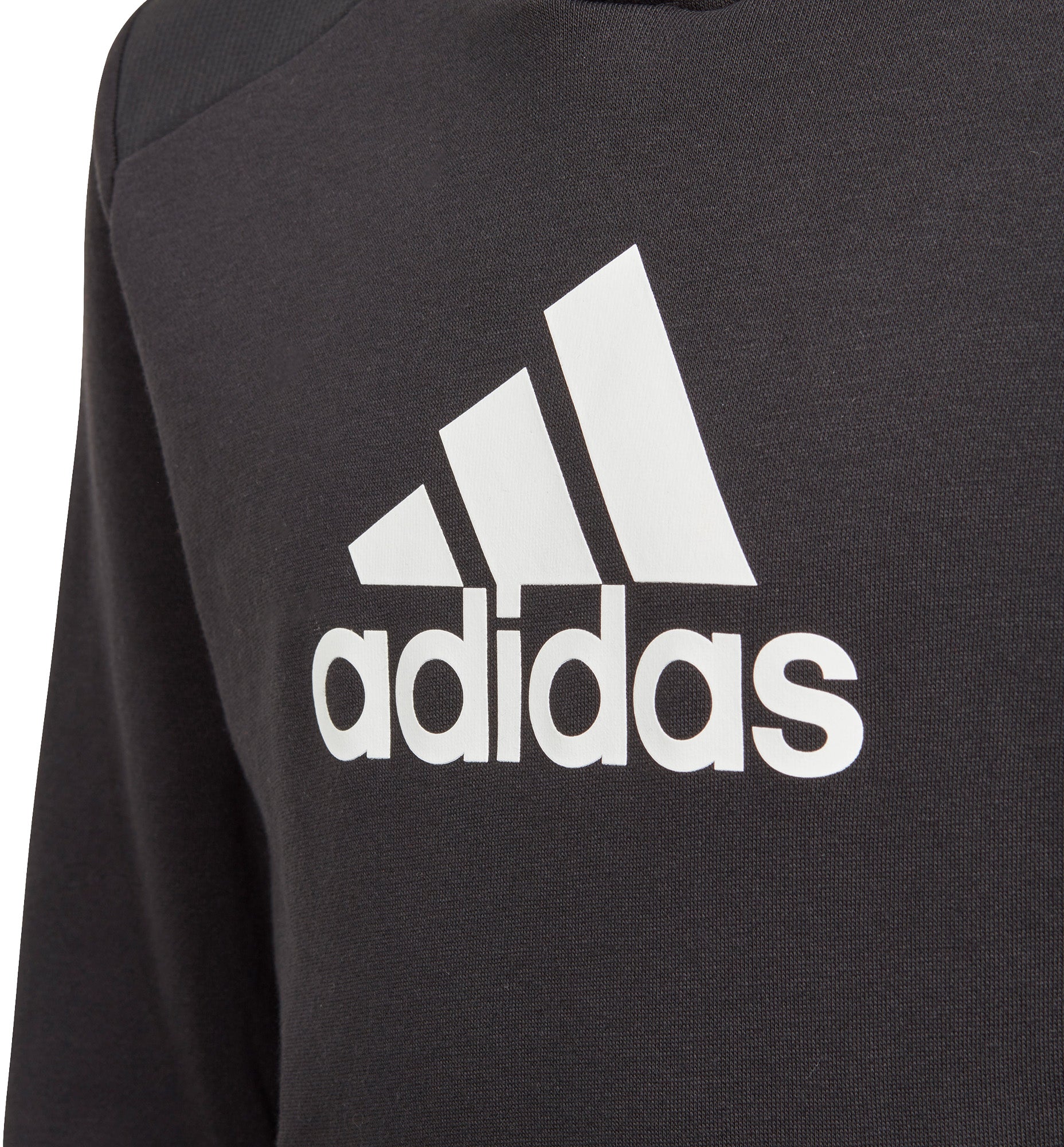 Badge of Sport Logo hættetrøje