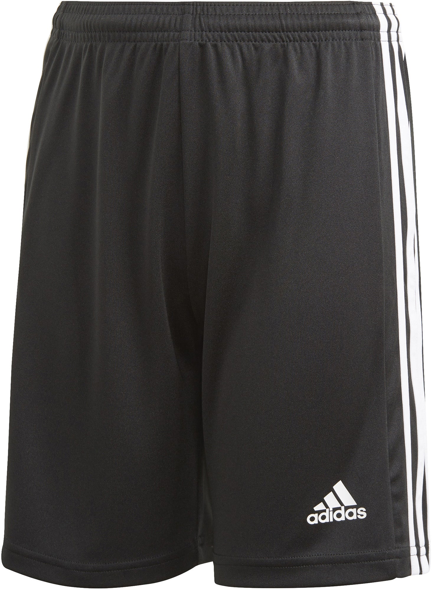 Squadra 21 shorts