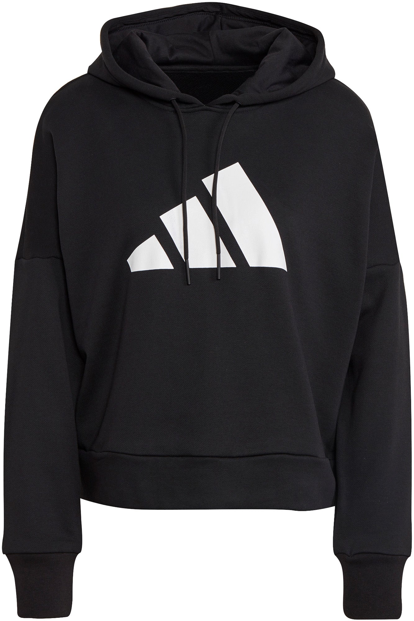 Sportswear Future Icons hættetrøje