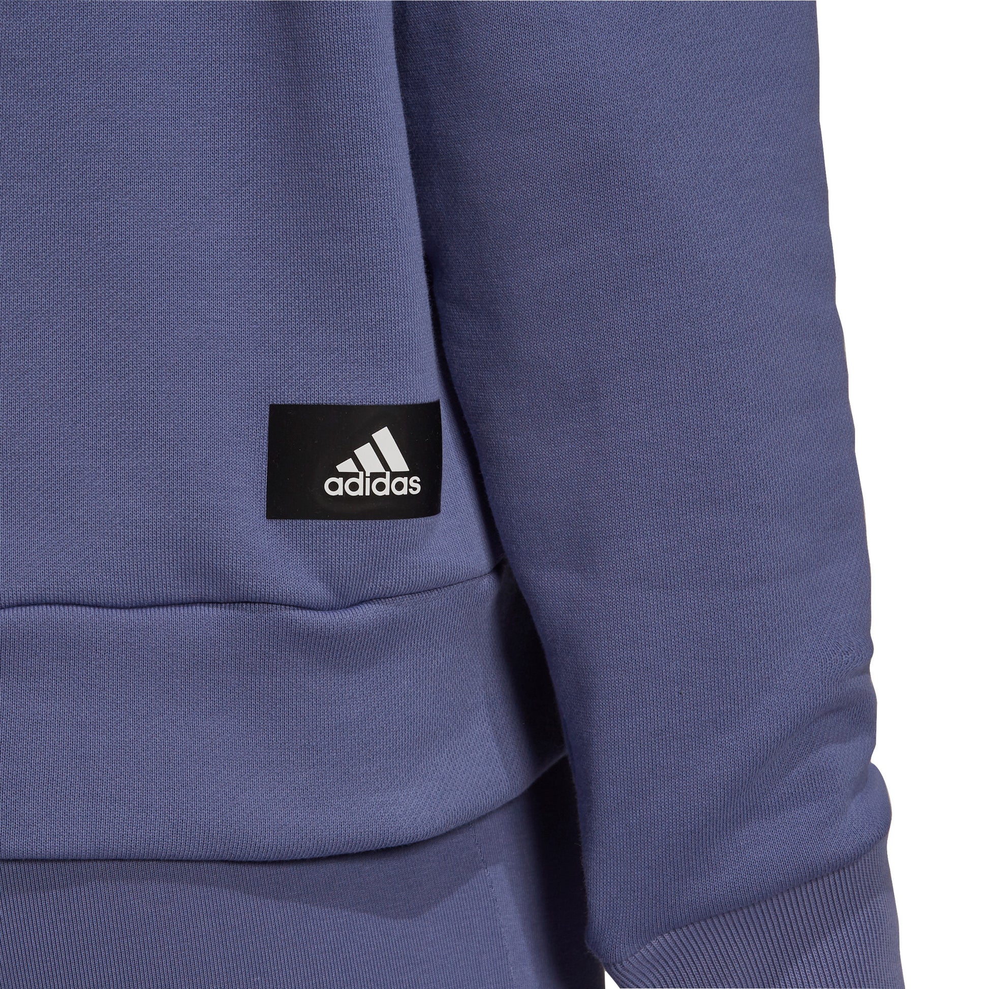 Sportswear Future Icons hættetrøje