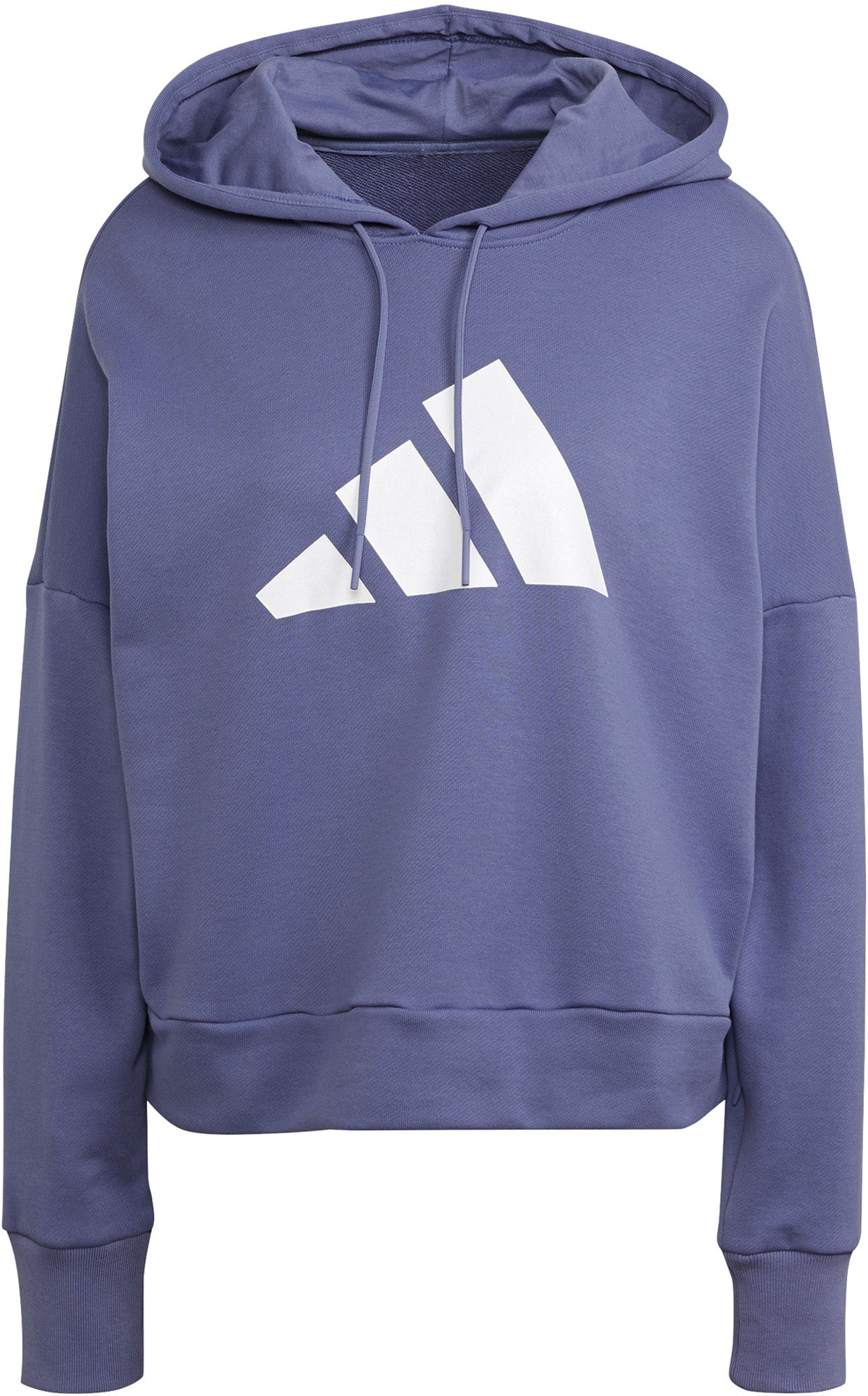 Sportswear Future Icons hættetrøje