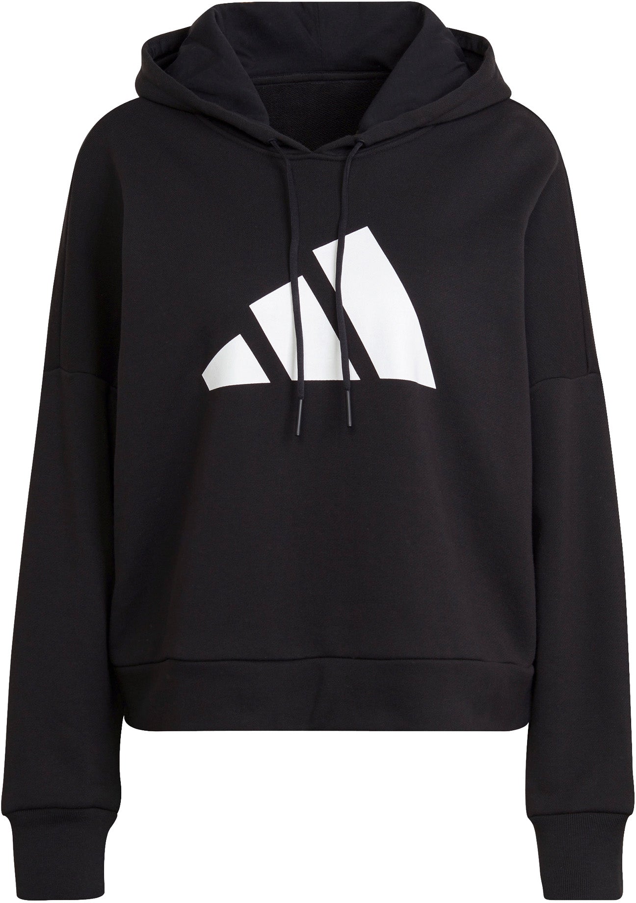 Sportswear Future Icons hættetrøje