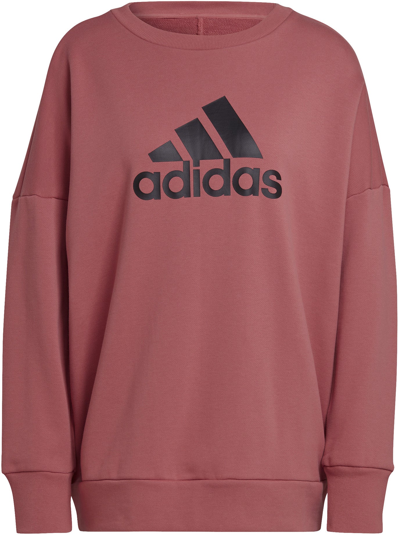 Future Icons Badge of Sport sweatshirt