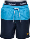 Spot Board Shorts fra Hummel