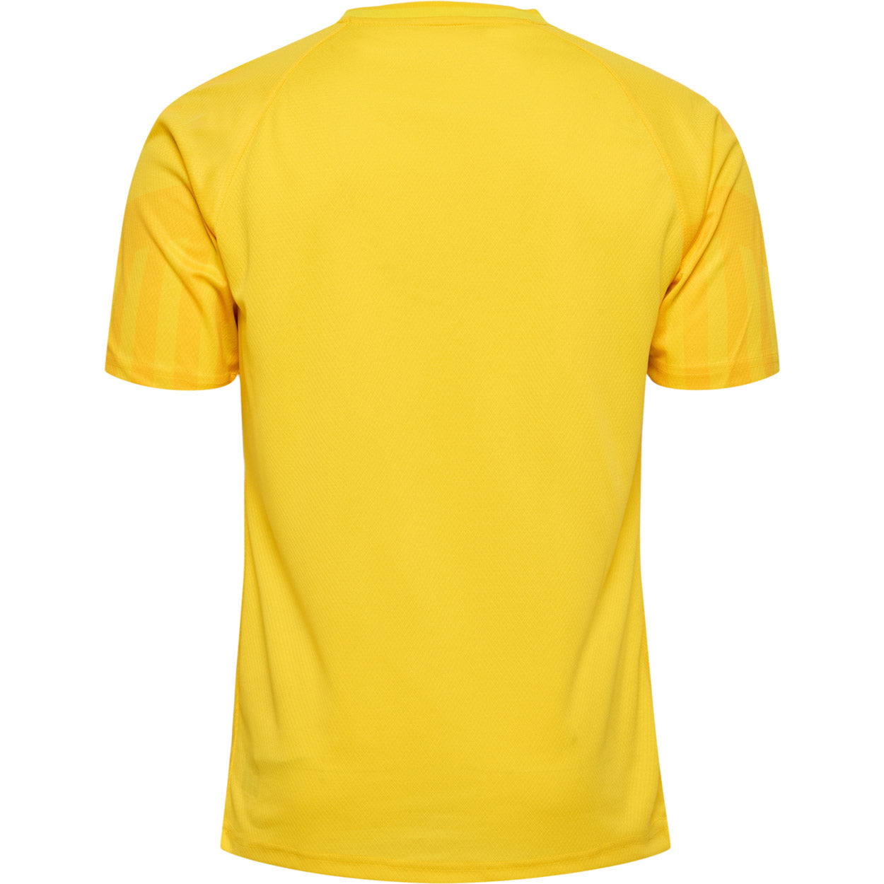 DBU Danmark målmandstrøje 22 Voksen