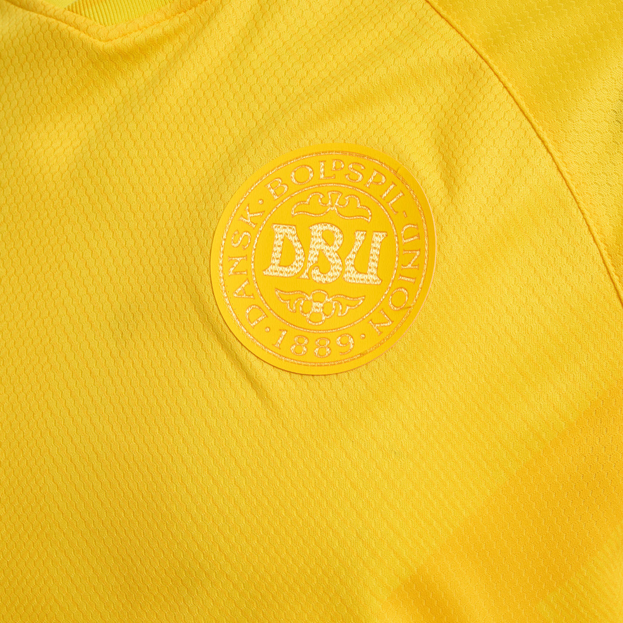 DBU Danmark målmandstrøje 22 Voksen