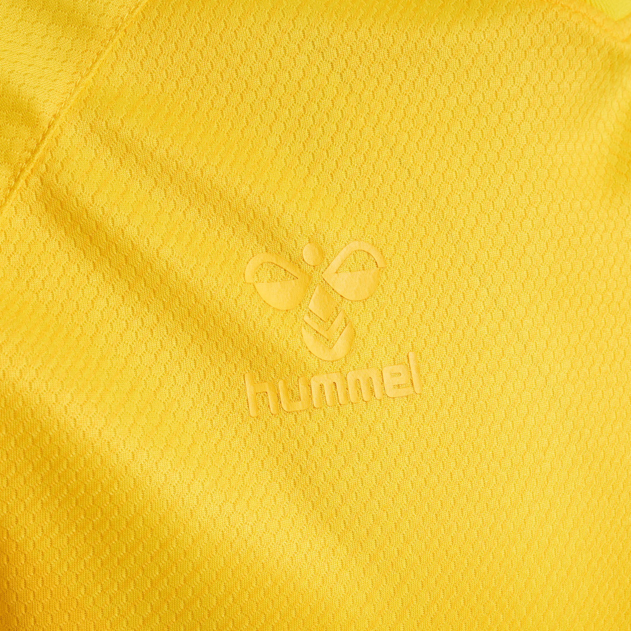 DBU Danmark målmandstrøje 22 Voksen