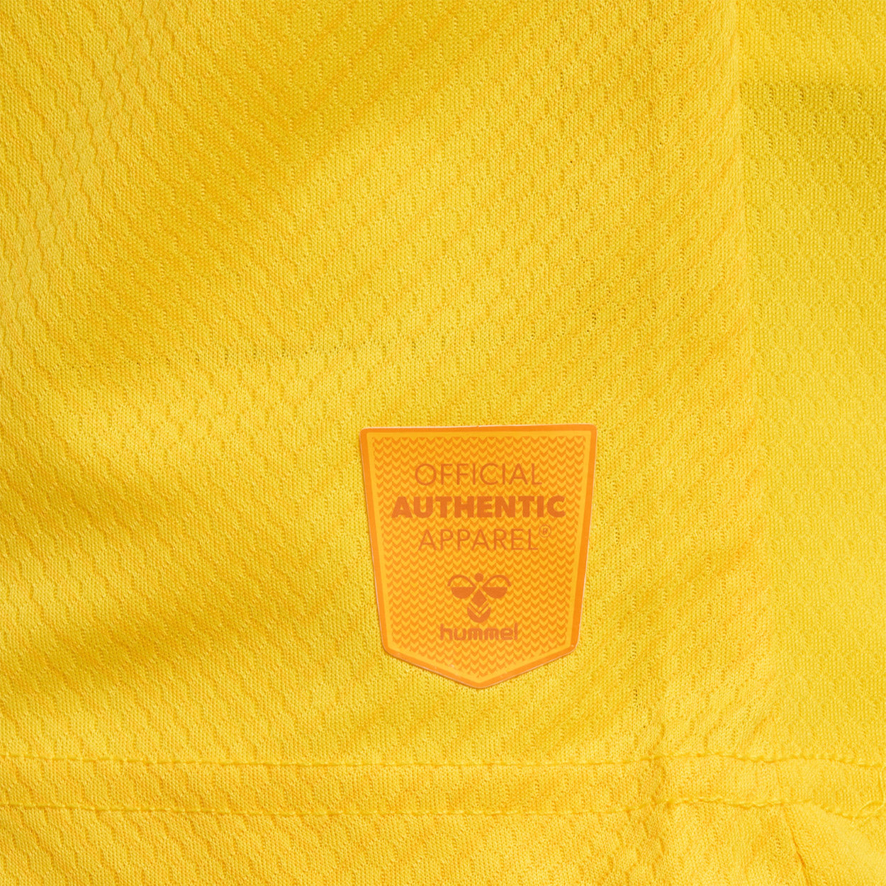 DBU Danmark målmandstrøje 22 Voksen