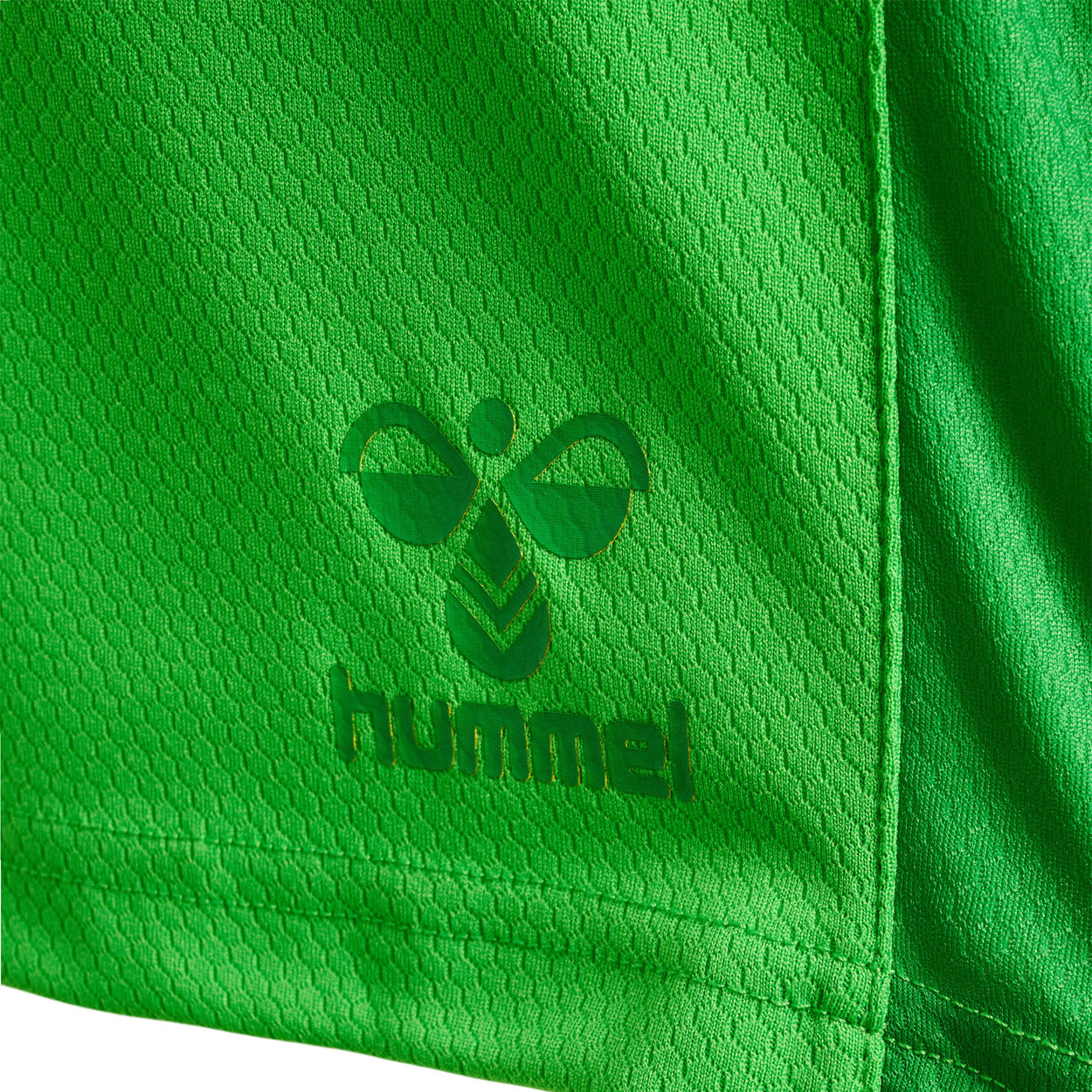 DBU Danmark målmandsshorts 22