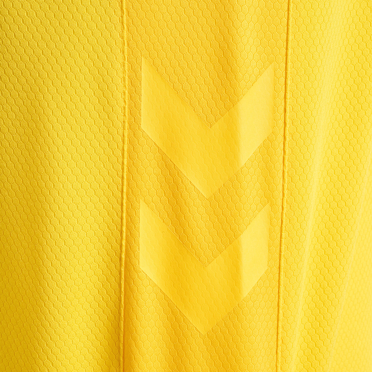 DBU Danmark målmandsshorts 22