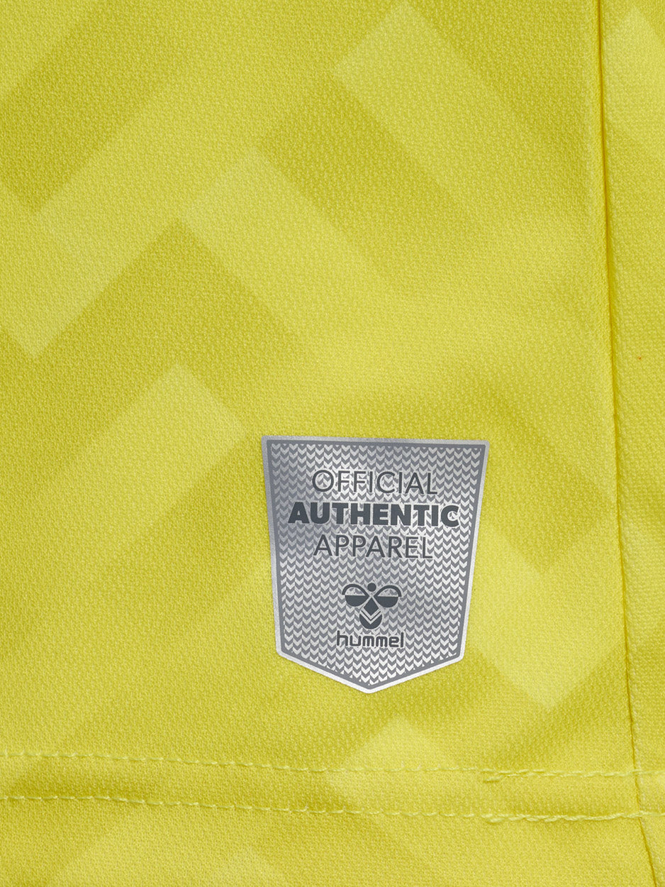 DBU Danmark målmandstrøje 23