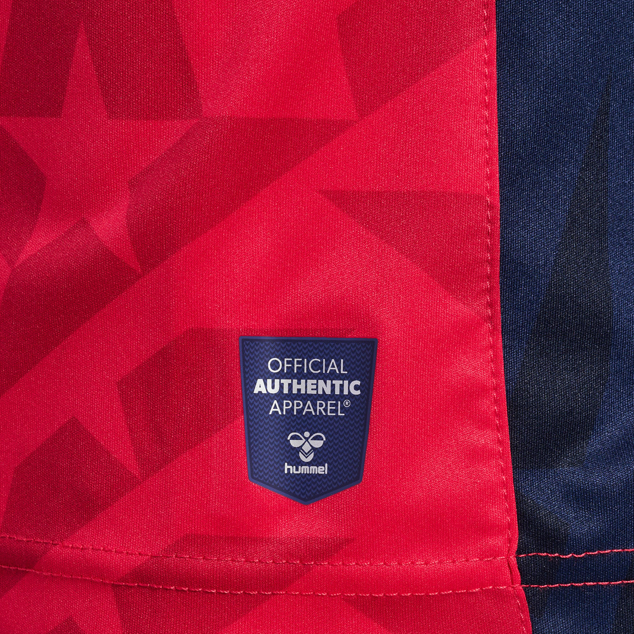 Astralis 22/23 CSGO Pro spillertrøje