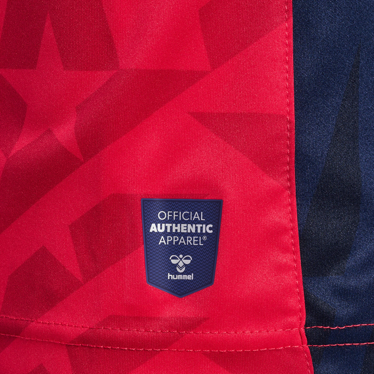 Astralis 22/23 CSGO Pro spillertrøje