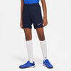 Dri-FIT Academy træningsshorts fra Nike