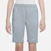 Dri-Fit Academy Shorts fra Nike