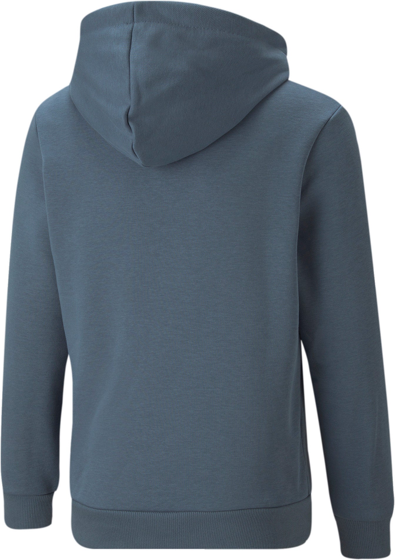 Essentials Big Logo hættetrøje