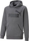 Essentials Big Logo hættetrøje fra Puma
