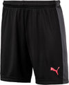 Evo TRG Shorts fra Puma