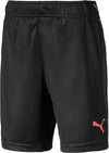 ftblNXT Shorts fra Puma
