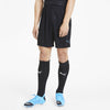 ftblNXT Shorts fra Puma