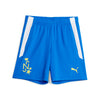 Neymar Jr Instituto shorts fra Puma