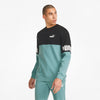 Power Colour-Blocked Crew Neck sweatshirt fra Puma